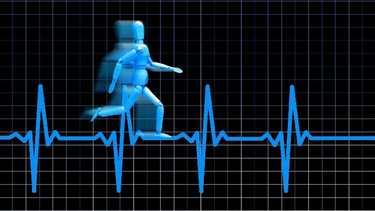 A blue wooden human figure running on the ECG signal grid